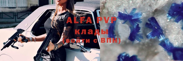 индика Балабаново