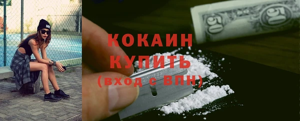 индика Балабаново