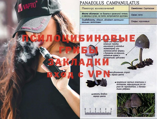 мяу мяу мука Приозерск