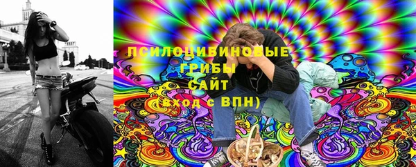индика Балабаново